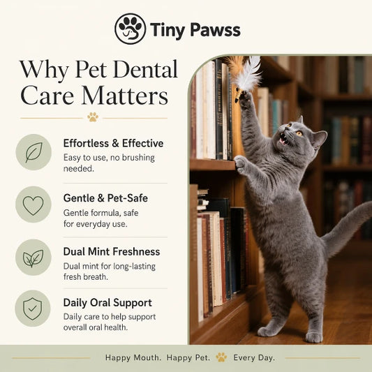 PureDrops Dental