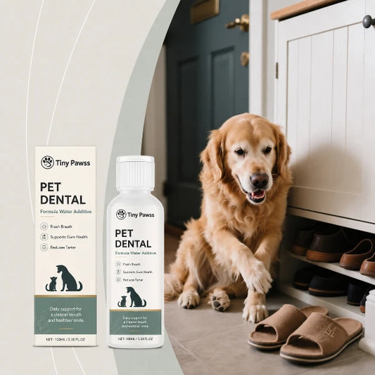 PureDrops Dental
