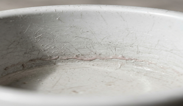 Before: plastic bowl with biofilm buildup