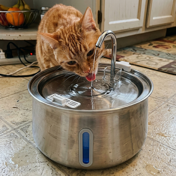 Cat drinking water from a stainless steel pet fountain on a kitchen floor.